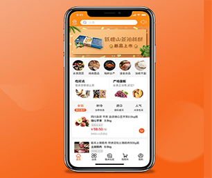 朔州手机网站定制社交电商系统实现您的愿景，助推企业升级【折上再折，超值优惠】